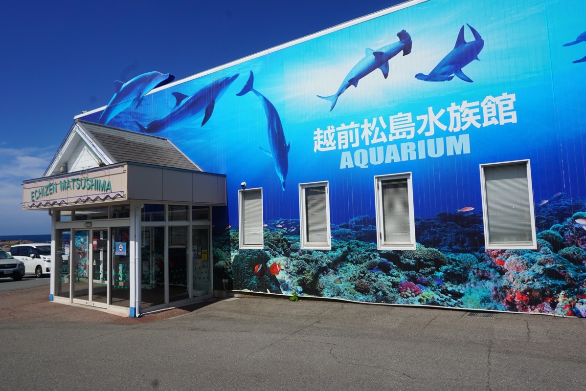 松島越前水族館、看板